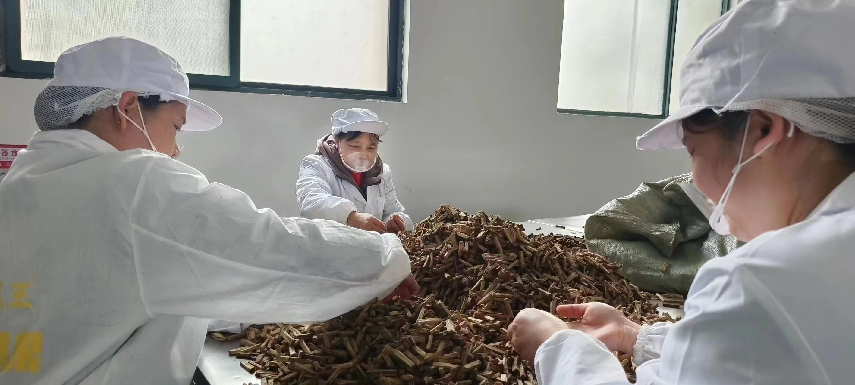 葛根加盟,葛根品牌,葛根項(xiàng)目,葛根公司