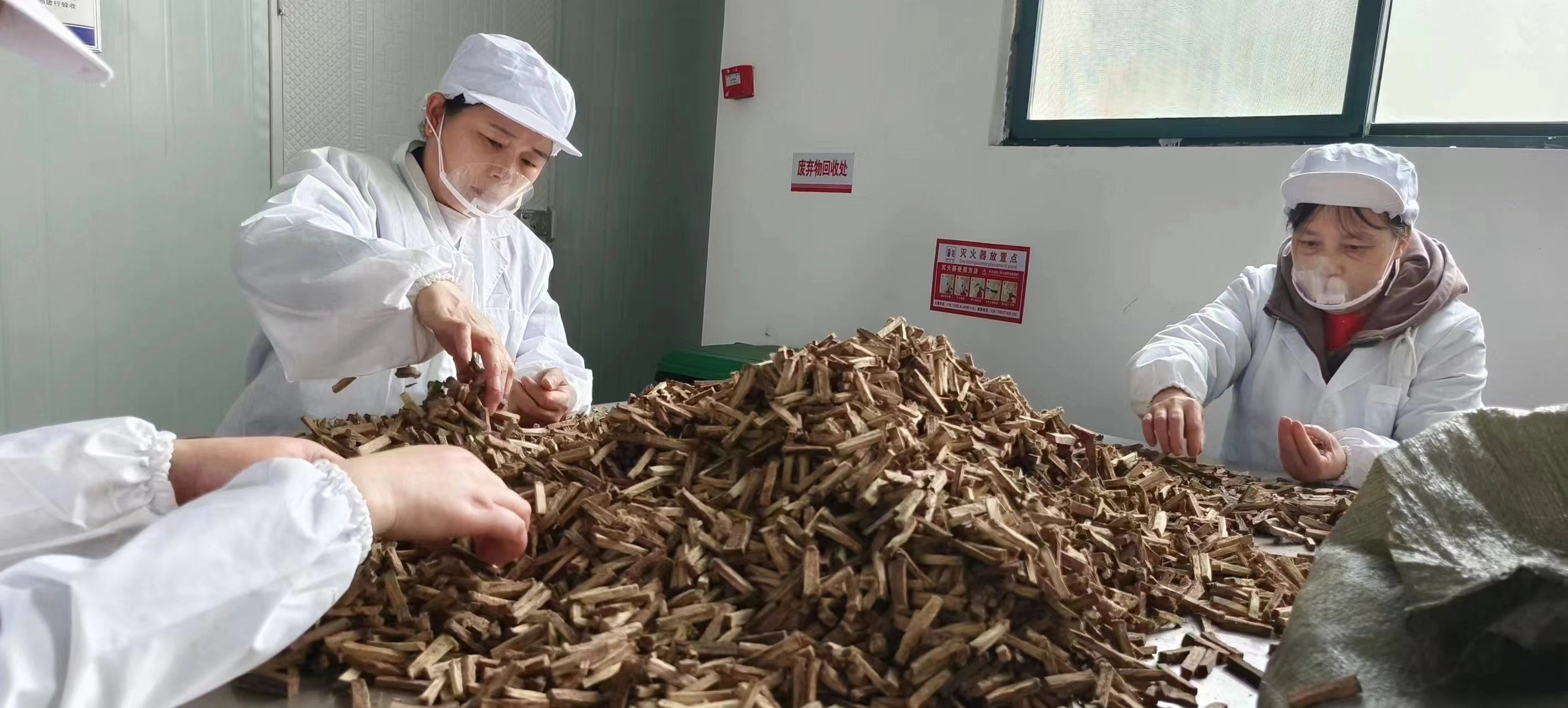 葛根條廠家,葛根項目,葛根咀嚼,口嚼葛根,葛根食品